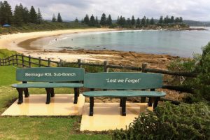 Anzac Beachcombers